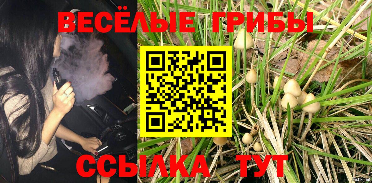 Галлюциногенные грибы MAGIC MUSHROOMS Орехово-Зуево