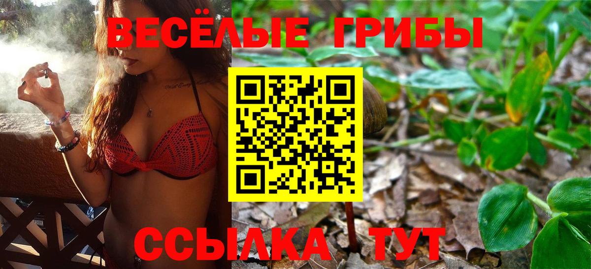 Галлюциногенные грибы Psilocybe  купить   Орехово-Зуево  Вход с VPN 