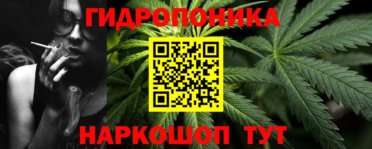 Бошки Шишки сатива  Бошки марихуана Bruce Banner  Орехово-Зуево  Вход с VPN  Марихуана марихуана 